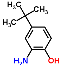 邻氨基对叔丁基苯酚